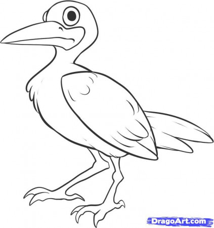 How to Draw a Seagull, Step by Step, Birds, Animals, FREE Online 