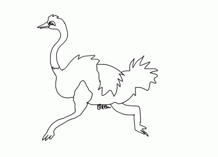 Ostrich Coloring Page Cool Custom Coloring Pages 282774 Ostrich 