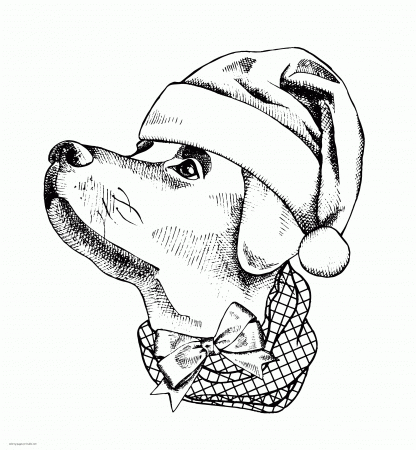 Real Dog Coloring Page For Adult || COLORING-PAGES-PRINTABLE.COM