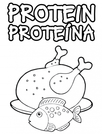 Coloring Sheet - Protein | Activity sheets, Coloring sheets, Flashcards