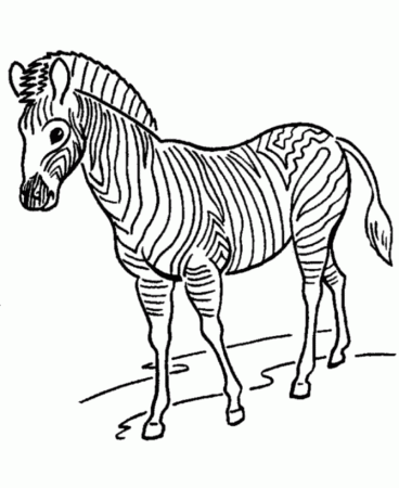 Zoo Animal Coloring Pages | Zoo Zebras Coloring Page and Kids ...