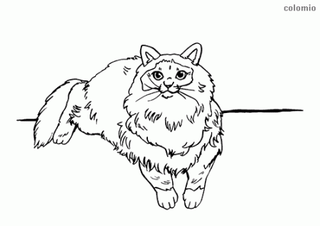 Cats coloring pages » Free & Printable » Cat coloring sheets