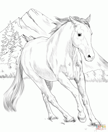 American Paint Horse coloring page | Free Printable Coloring Pages