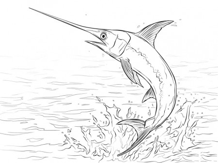 Swordfish Jumping Coloring Page - Free Printable Coloring Pages for Kids