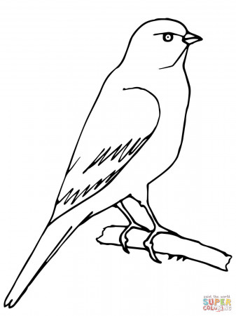 Canary coloring pages | Free Coloring Pages