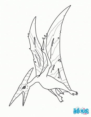 Pteranodon coloring page