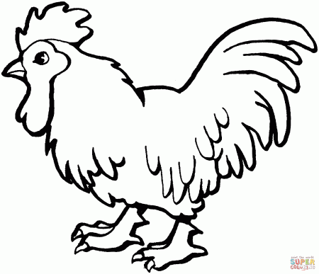 Chick - Coloring Pages for Kids and for Adults