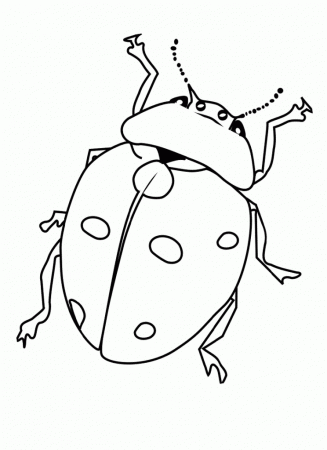 Bug Coloring Pages Free | Extra Coloring Page