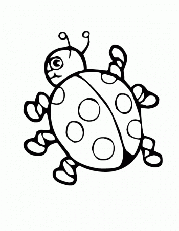 Ladybug Coloring Pages Home Animal Coloring Sweet Ladybug Coloring 
