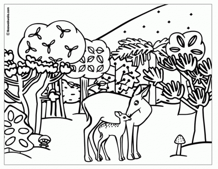 Forest Animals Coloring Page Boowa And Kwala Email Forest Animals 