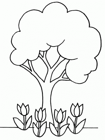 Oak Tree Coloring Page