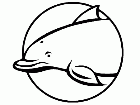 Dolphins K6 Animals Coloring Pages & Coloring Book