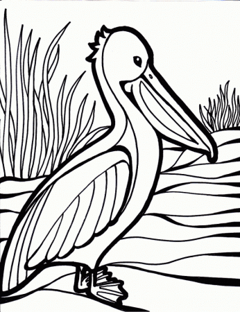 Big Bird coloring pages to print | Coloring Pages