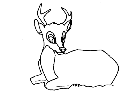 Coloring Pages Deer Coloring Pages