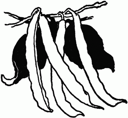 Green Beans Black And White Clipart - Clipart Kid