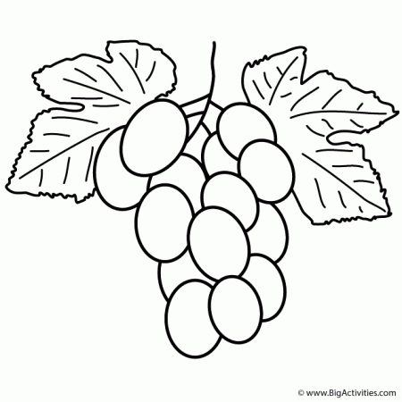 Bunch of Grapes - Coloring Page (Fruits and Vegetables)