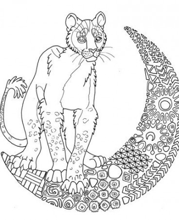 Moon Lioness Coloring Page for Adults - Root Inspirations