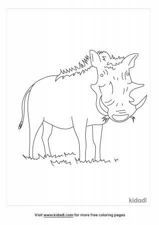 Warthog Coloring Pages | Free Animals Coloring Pages | Kidadl