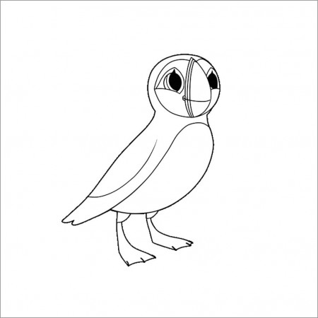 Baby Puffin Coloring Page - ColoringBay