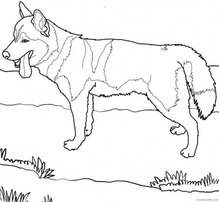 dog coloring pages siberian husky Coloring4free - Coloring4Free.com