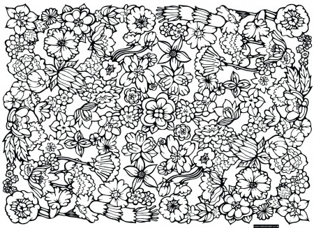 Coloring Pages : Hardoring Pages Free Of Animals Printable For ...