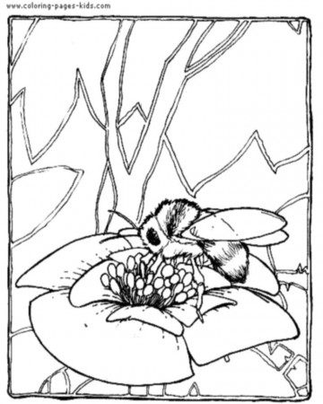 Bee Coloring Pages - Bees-On-The-Net