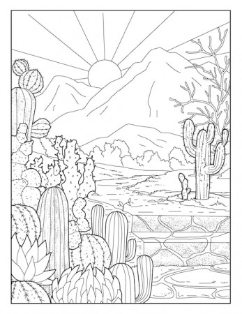 Cactus Garden garden Gallery Coloring Pages for Adults 1 - Etsy Singapore