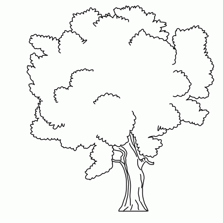 Coloring pages trees - free downloads