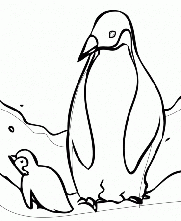 Penguin Coloring - Coloring Pages for Kids and for Adults