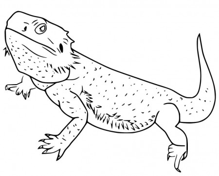 Bearded Dragon Coloring Pages - Free Printable Coloring Pages for Kids