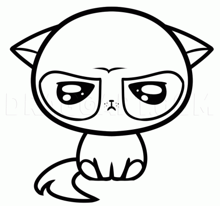 How to Draw Kawaii Grumpy Cat, Coloring Page, Trace Drawing