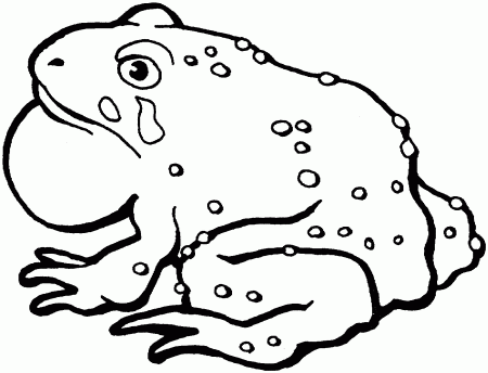 Printable Toad Coloring Pages Kids - Colorine.net | #6011