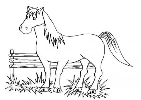 Amazing of Great Horse Coloring Pages With Horse Colorin #2194