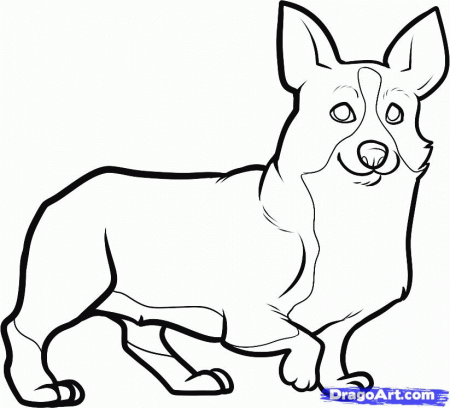 how to draw a corgi Colouring Pages