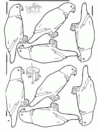 budgerigar Colouring Pages (page 3)