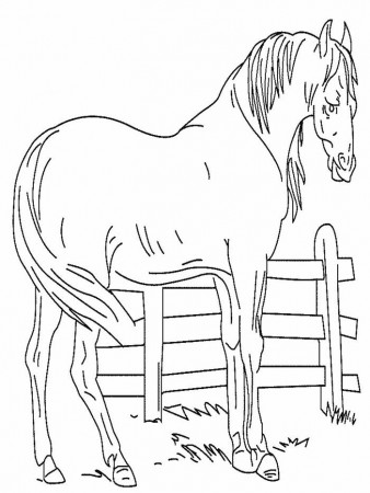 Horse Coloring Pages 30 275422 High Definition Wallpapers| wallalay.