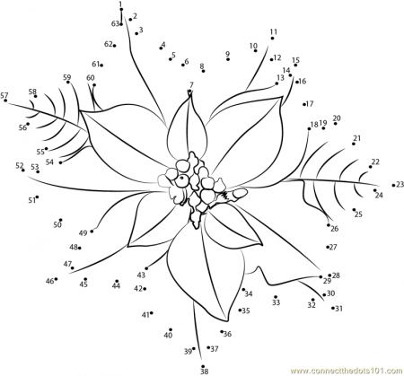 Connect the Dots Poinsettia Flower (Flowers > Poinsettia) - dot to 