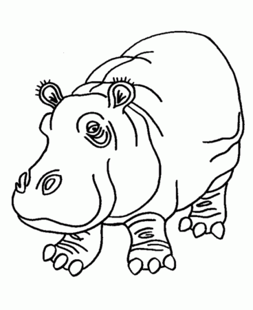 Pink Hippo Coloring Pages | Hippopotamus Coloring Page and Kids 