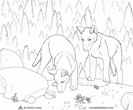 Wolf Pack Coloring Pages Coloring Book Area Best Source For 227922 