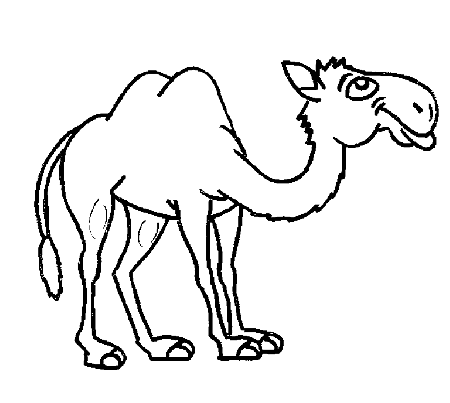 Camel Colouring Pages | Coloring