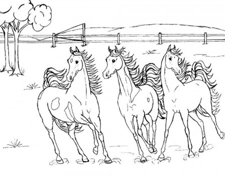 Horse Coloring Pages | Coloring Pages