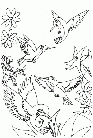 Respect Coloring Sheets For Kids Coloring Pages Kids Hummingbird 
