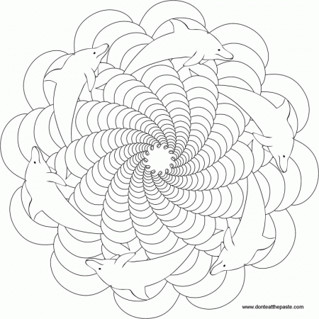 Don't Eat the Paste: Dolphin Mandala to Color