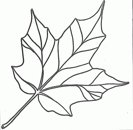 Leaf Coloring Page | Hobby Shelter