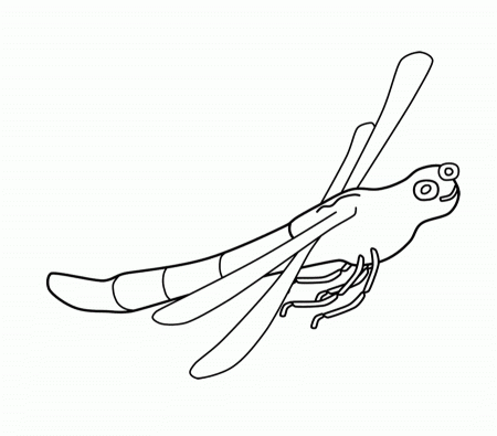 Dragonfly Coloring Pages To Print For Kids - Dragonfly Coloring 