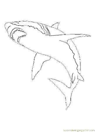 Coloring Pages Shark2 02 (Fish > Shark) - free printable coloring 