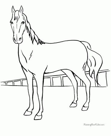 Horse coloring pages - Animals