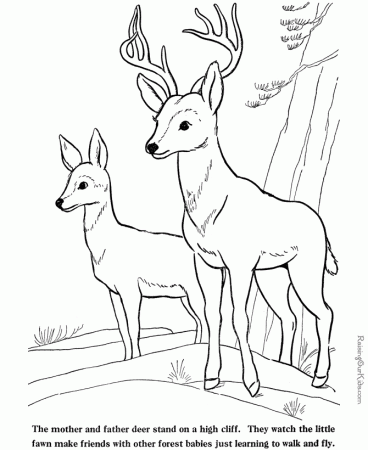 Deer and fawn coloring pages to print and color 016