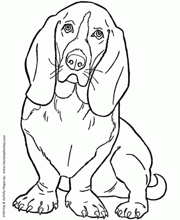 Dog Coloring Pages | Printable Basset Hound coloring page sheet and kids  activity page | HonkingDonkey