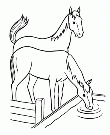 Horse Coloring Pages | Horses at water trough Coloring Page 